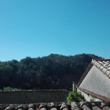Maison Au Village Du Livre Montolieu Zewnętrze zdjęcie