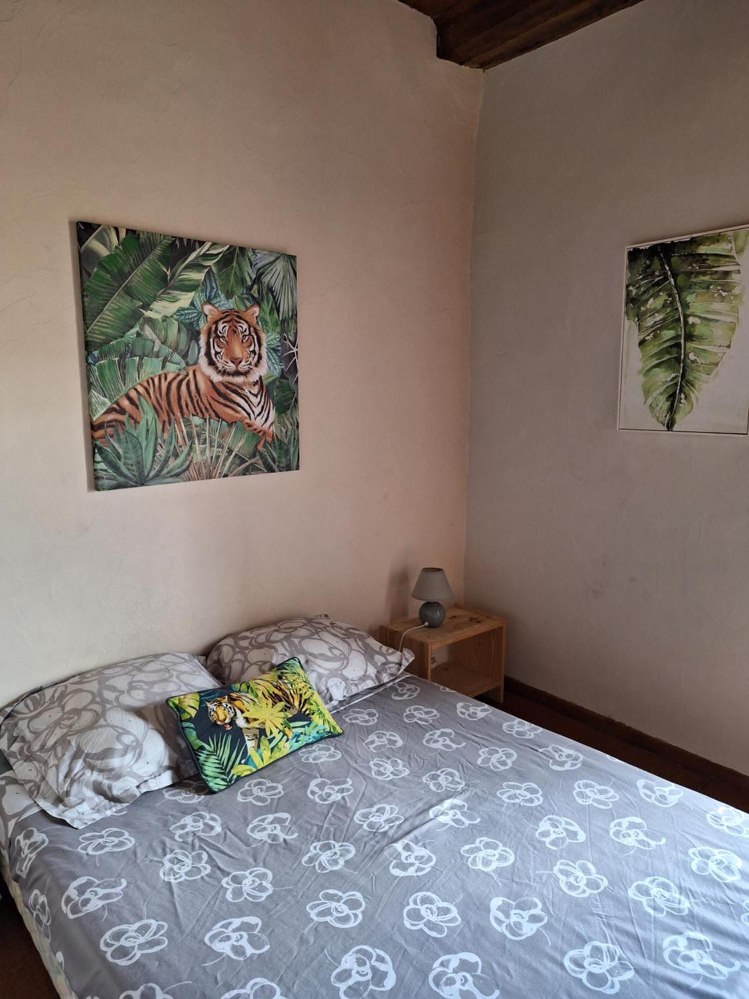 Maison Au Village Du Livre Montolieu Zewnętrze zdjęcie
